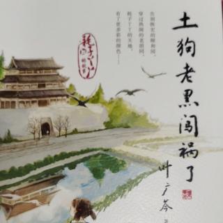 《土狗老黑闯祸了》（4）