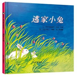 《逃家小兔🐇》