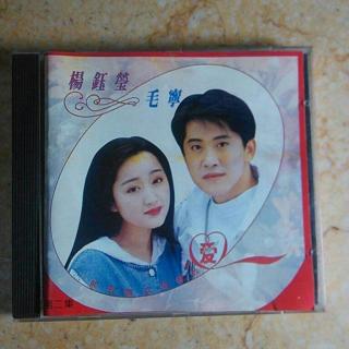 杨钰莹、毛宁 - 心雨 (DJ阿福 Remix)