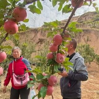 幸福是什么——白洁霞/文，梅花/朗读