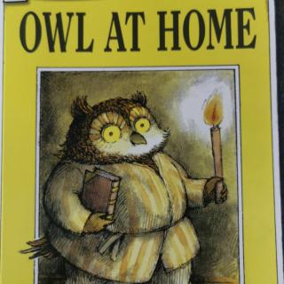 Jan14-Julian17-Owl at home day1