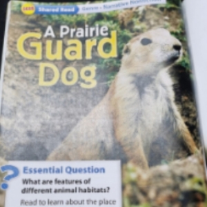 1.13 A Praire Guard Dog