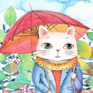 小猫的红伞