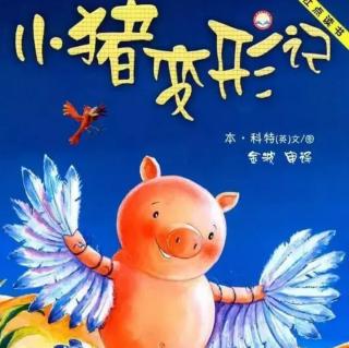 幼专金海湾幼儿园何老师《小猪变形计》