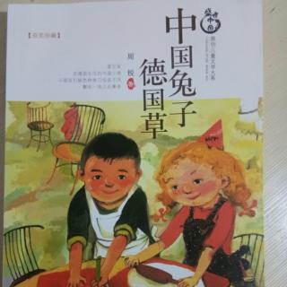 《中国兔子德国草》55――69