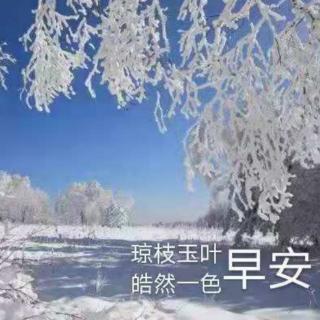 喀纳斯早安心语（1.15）