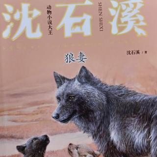 铁夹夹死了大公🐺