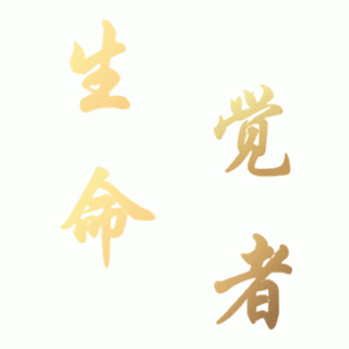 （29）生命·觉者—对话刘丰-从提升维度的角度去提升生命的自由度