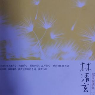 《林清玄散文自选集少年版》10.芝麻绿豆的智慧