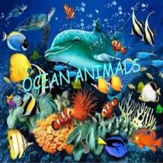 The Animals in the Ocean
