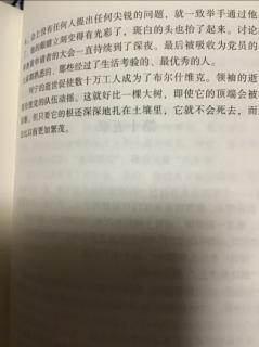 《钢铁是怎样炼成的》第十四章（下）