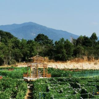 睢阳学社抒怀      范仲淹