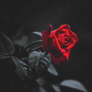 王尔德《玫瑰与悲伤》Roses and Rue - Oscar Wilde
