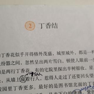 六年级上册语文知识点复习[课文]丁香结