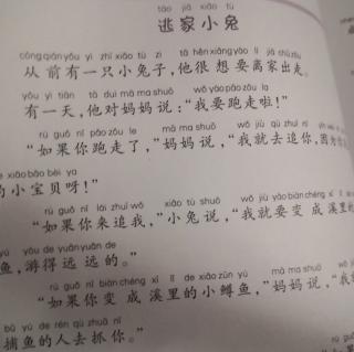 故事《逃家小兔》