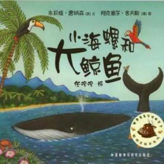 聪明豆绘本故事《小海螺和大鲸鱼》