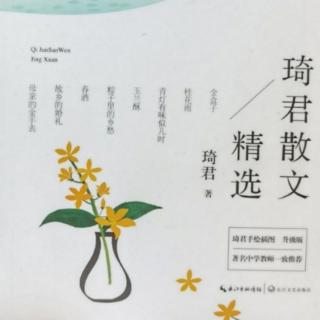 母亲的书|绮君——家长篇