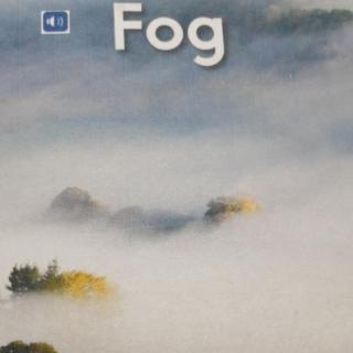 Fog