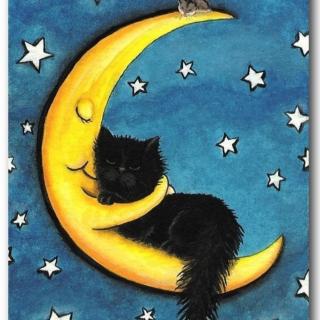 【睡前故事901】飞翔幼儿园老师妈妈❤晚安故事《小猫咪追月亮》
