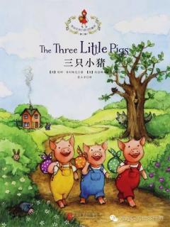 红十一幼晚安故事—《三只小猪》