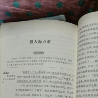 语文阅读