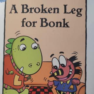 A broken leg for bonk