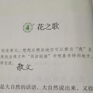 六年级上册语文知识点复习[课文]：花之歌