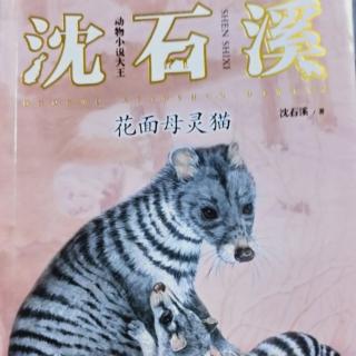 皈依牢笼的斑灵猫