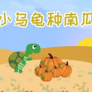 《小乌龟种南瓜🎃》