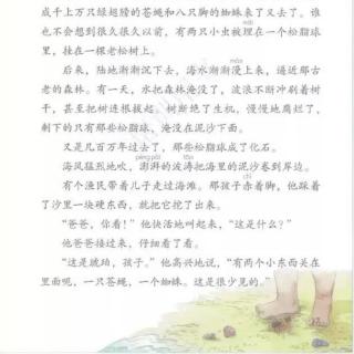 5. 琥珀（阅读链接）