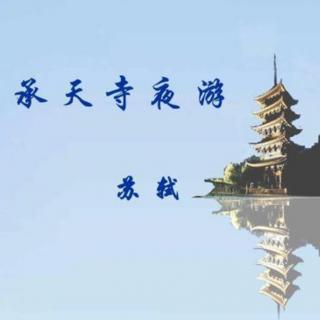 八上~答谢中书~记承天寺