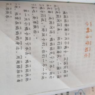 小鸭子学游水