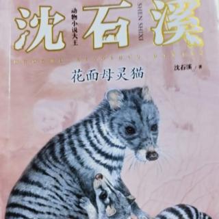 藏獒渡魂