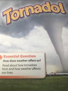 Tornadoes！