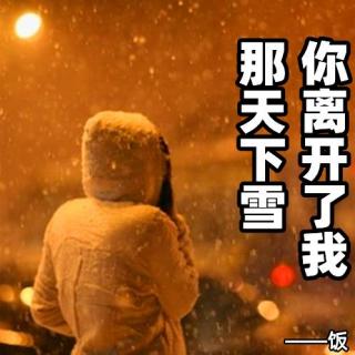 那天下雪，你离开了我。