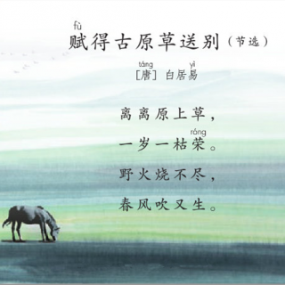 每天吟诵五分钟——赋得古原草送别(节选).读诵