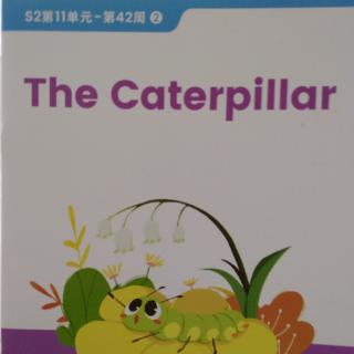 英语阅读～the   caterpillar