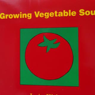 寒假集训绘本Growing vegetable soup