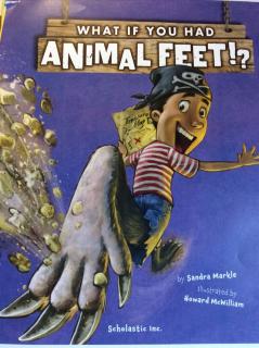 Jan.20 Animal Feet？！-Dodo 10