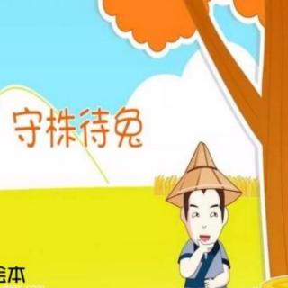 435.成语故事～守株待兔