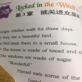 杨砚喜读《被关进女巫的家》