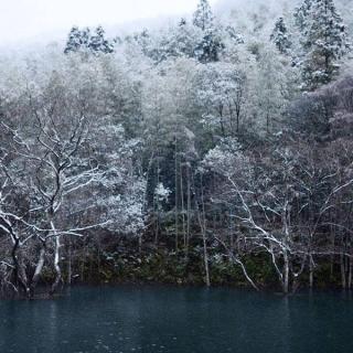 大寒｜节气不饶人