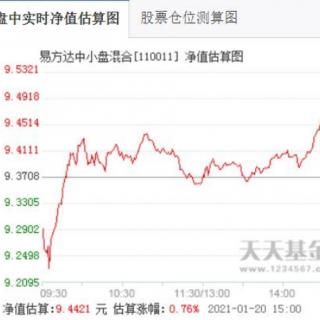 重仓热门板块的主动基金该怎么办？【20210120】