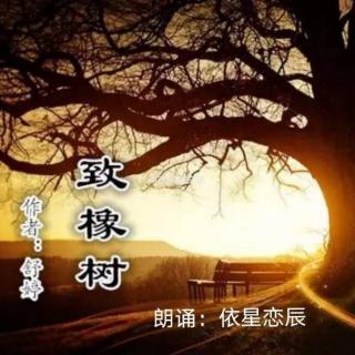 《致橡树》作者：舒婷