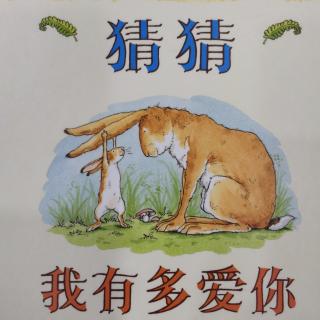 230—《猜猜我有多爱你》