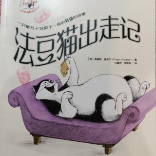 法豆猫出走记