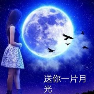 《送你一片月光》作者：阿紫 