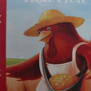 Little red hen