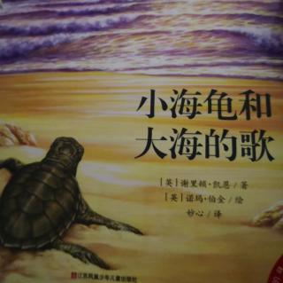 和宝宝讲故事…小海龟和大海的歌