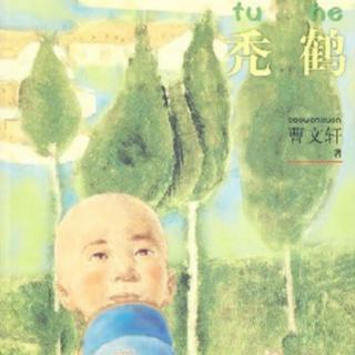 《草房子》秃鹤1、2